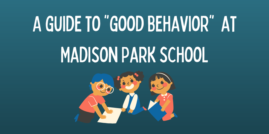 Madison Park Good Behavior graphic
