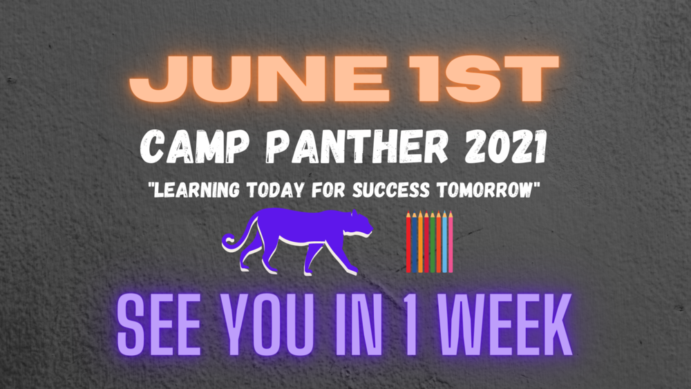 Camp Panther Graphic