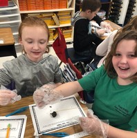 Owl Pellets - 3rd Grade