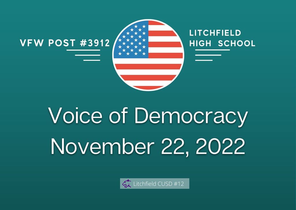 Voice of Democracy graphic
